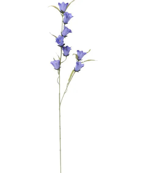 Kunstblume Glockenblume