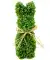 Kunstbuxus konijn groen