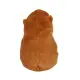 Pluszak kapibara