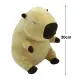 Pluszak kapibara