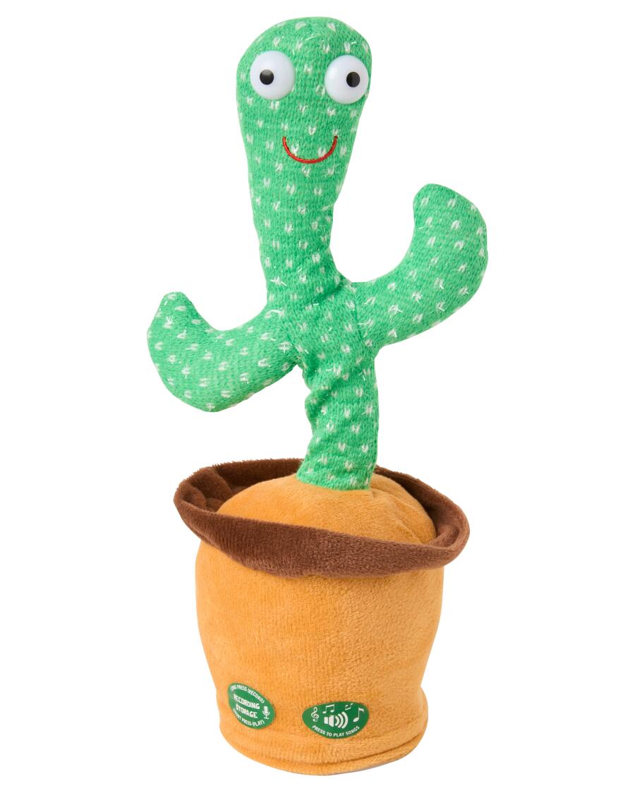 opuntia kaktus kaufen Opuntia rubescens Kaktus 25–30 cm – Feigenkaktus Ohrenkaktus winterhart  Sukkulente Zimmerpflanze main image 1