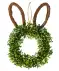 Wilgenkrans Pasen groen