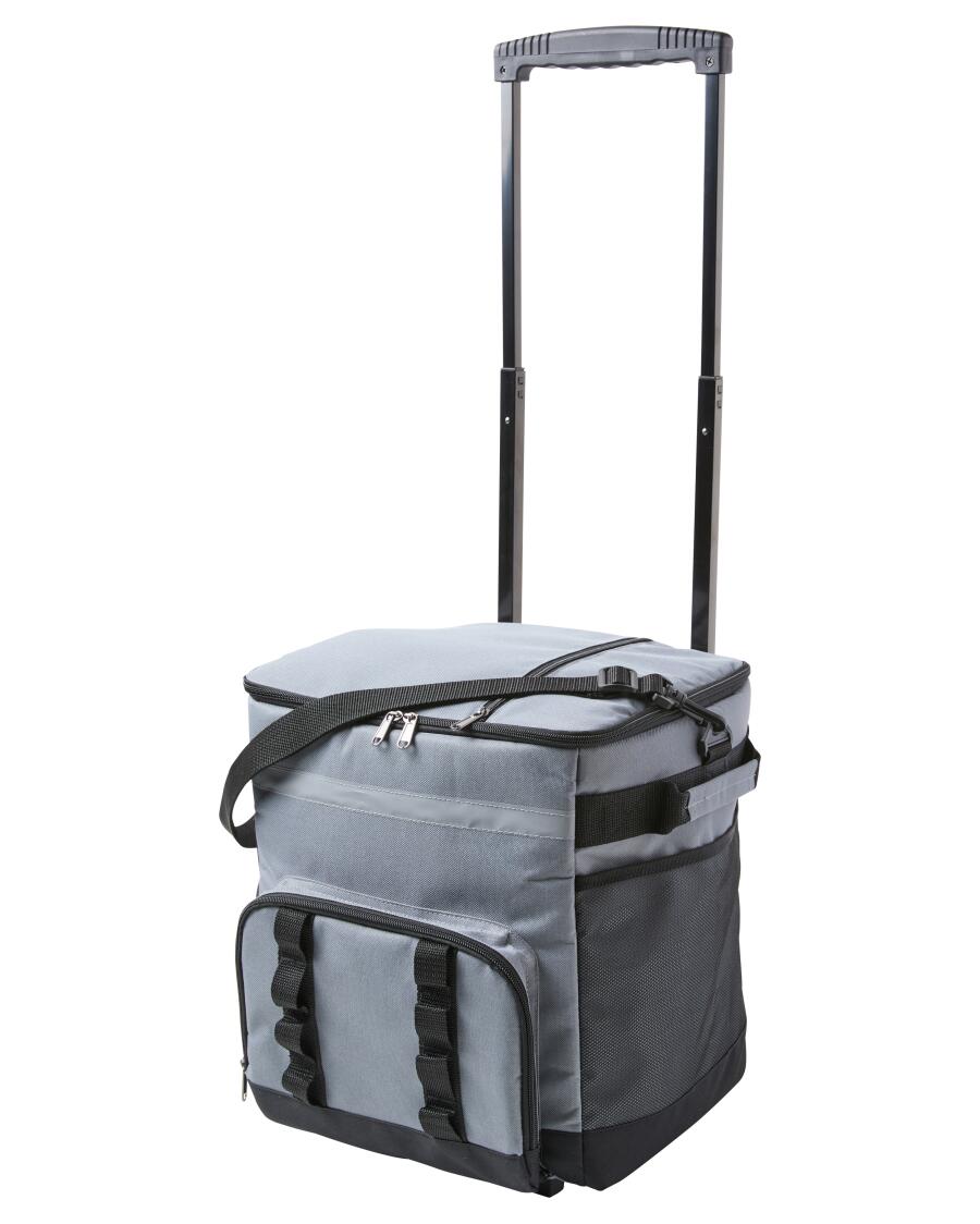 kuehl-trolley-mit-