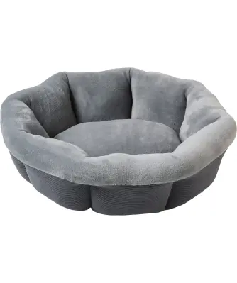 Alles over de huisdierenverzekering: een polis voor Fikkie en Minoes