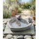 Vogeltränke in Herzform
