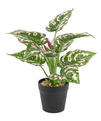 Sztuczna Monstera