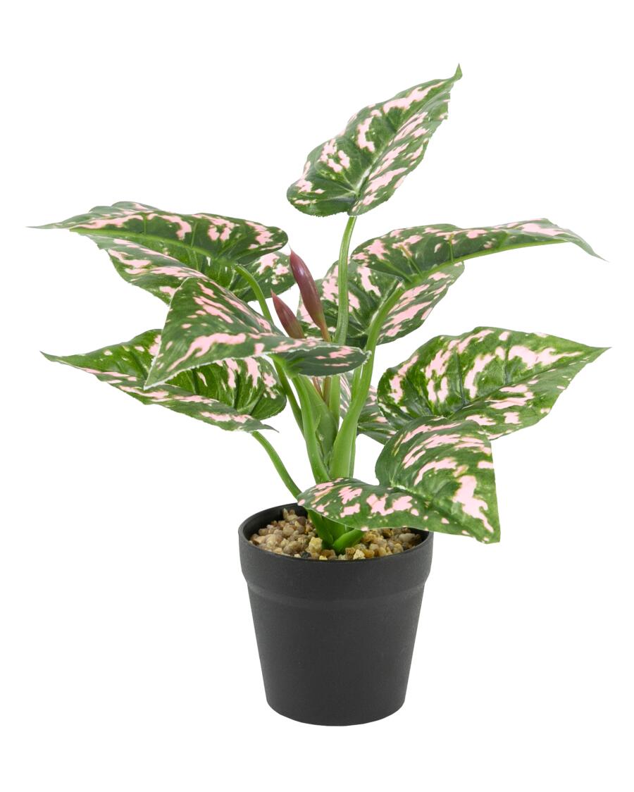 Kunstpflanze Monstera, pink