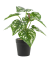 Sztuczna Monstera zielony