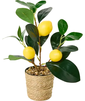 Künstlicher Zitrusbaum im Rattan-Übertopf