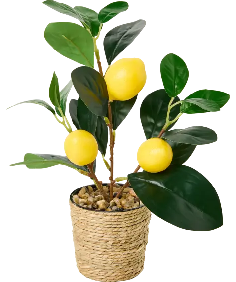 Künstlicher Zitrusbaum im Rattan-Übertopf