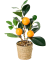 Künstlicher Zitrusbaum im Rattan-Übertopf orange