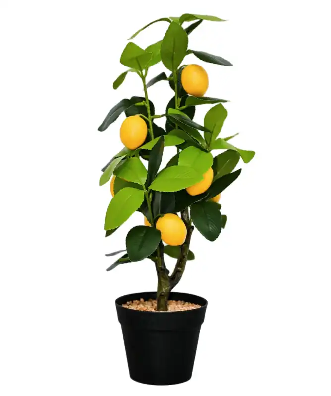 Kunst-Zitronenbaum