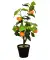 Kunst-Orangenbaum orange