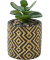 Kunstplant in een cementpot zwart