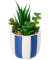 Kunst-Sukkulente im Topf weiß/blau
