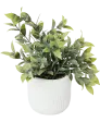 bílá