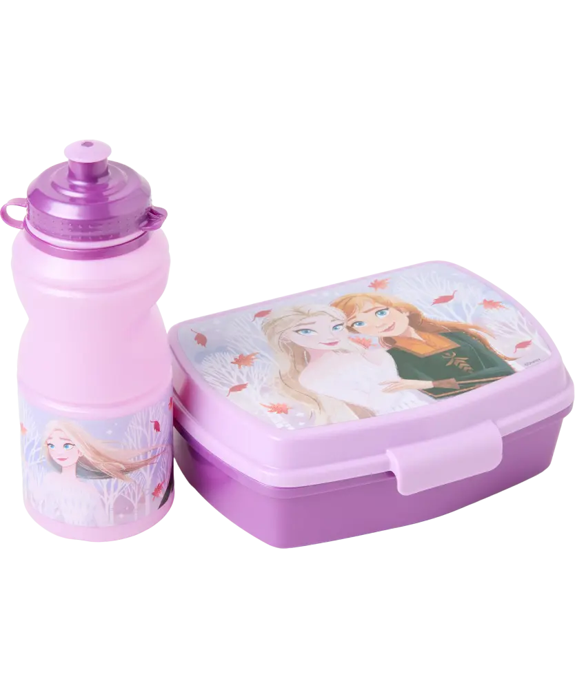 Lizenz Trinkflasche + Brotdose, lila, Frozen