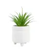 wit/groen