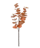 Kunstzweig Eukalyptus orange