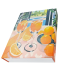 Deko-Buch Zitrusfrüchte orange