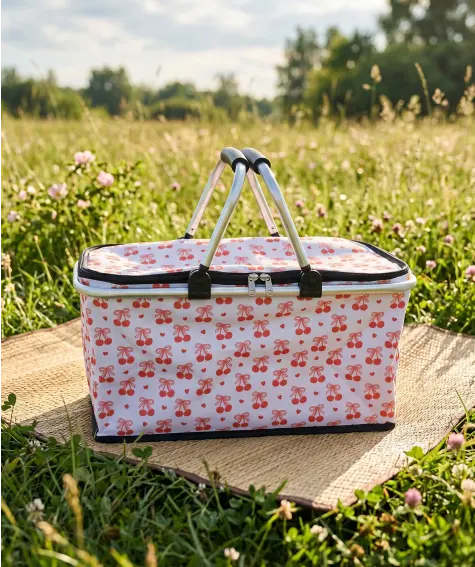 Kühltasche in Korbform