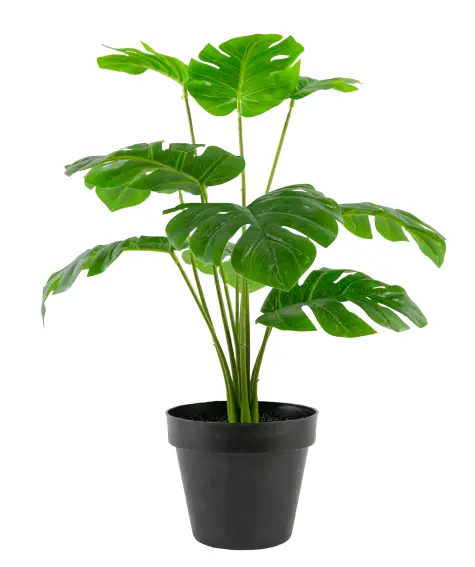 Kunstpflanze Monstera