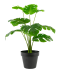 Kunstpflanze Monstera grün