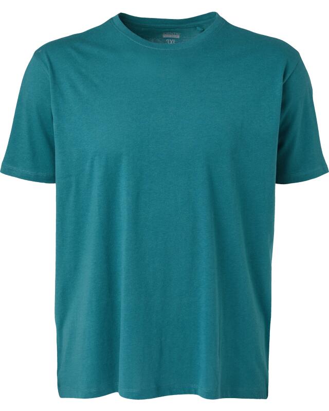 تيشيرت سادة للرجال، أخضر صنوبري (KiK Schlichtes T-Shirt (tanne)) — KiK, منتج ألماني أصلي في المغرب