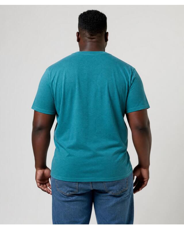 تيشيرت سادة للرجال، أخضر صنوبري (KiK Schlichtes T-Shirt (tanne)) — KiK, منتج ألماني أصلي في المغرب