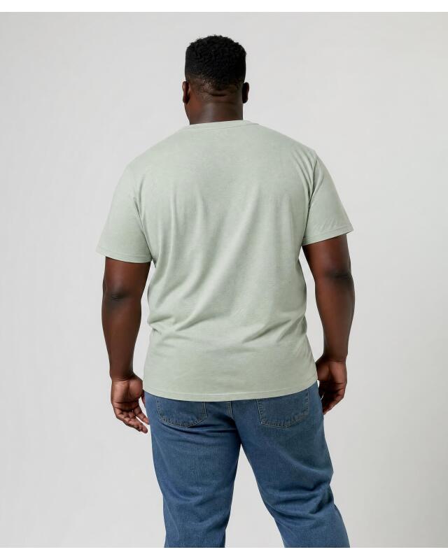 Plain T-shirt for men, light khaki (KiK Schlichtes T-Shirt (hellkhaki)) — KiK, authentic German product in Morocco