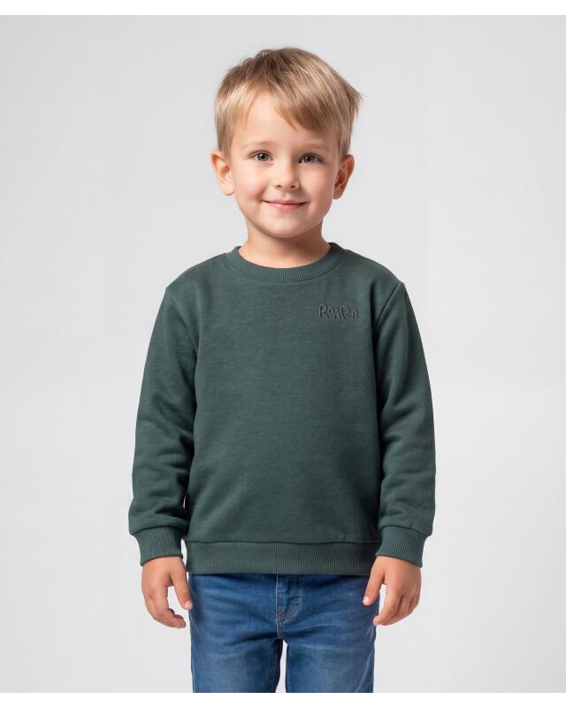 Sweats à motif dinosaures garçon, marron/vert (KiK Sweatshirts mit Dinos (braun/grün)) — KiK, produit allemand authentique au Maroc
