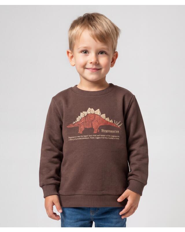 Sweats à dinosaures garçon, marron/orange (KiK Sweatshirts Dino (braun/orange)) — KiK, produit allemand authentique au Maroc