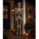 Halloween Deko-Skelett