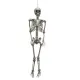 Halloween Deko-Skelett