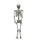 Halloween Deko-Skelett