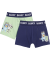 Retro Boxershorts hellgrün