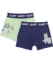 Retro Boxershorts hellgrün