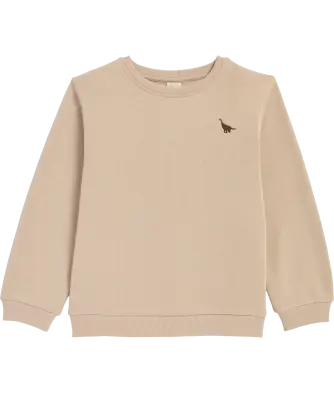 Sweatshirt mit Dino-Stickerei