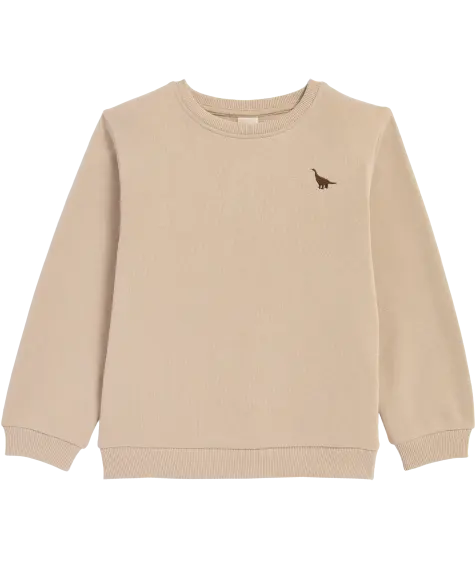 Sweatshirt mit Dino-Stickerei