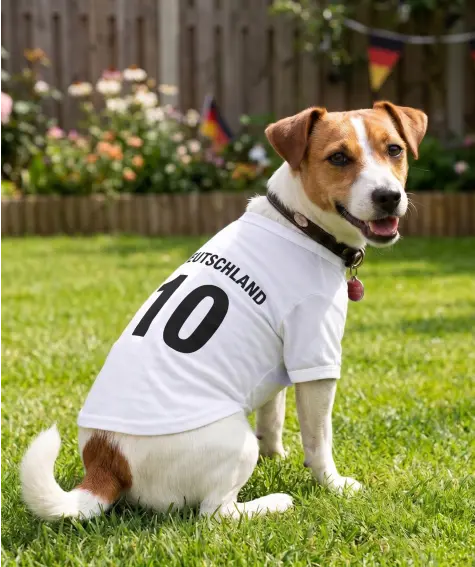 Fan-Shirt für Hunde