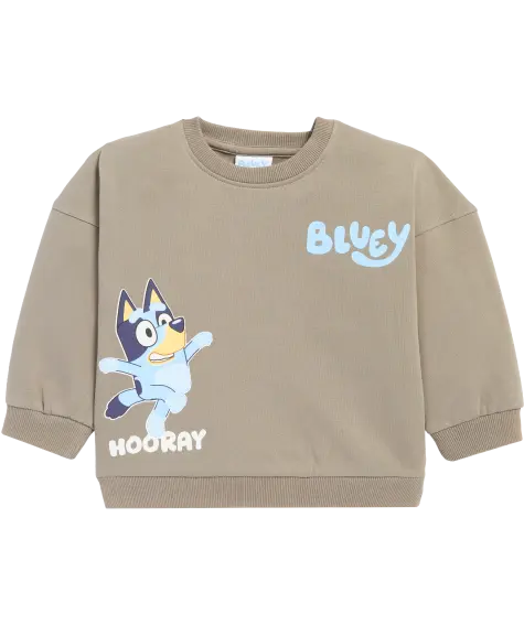 Sweatshirt mit Front- und Rückenprint