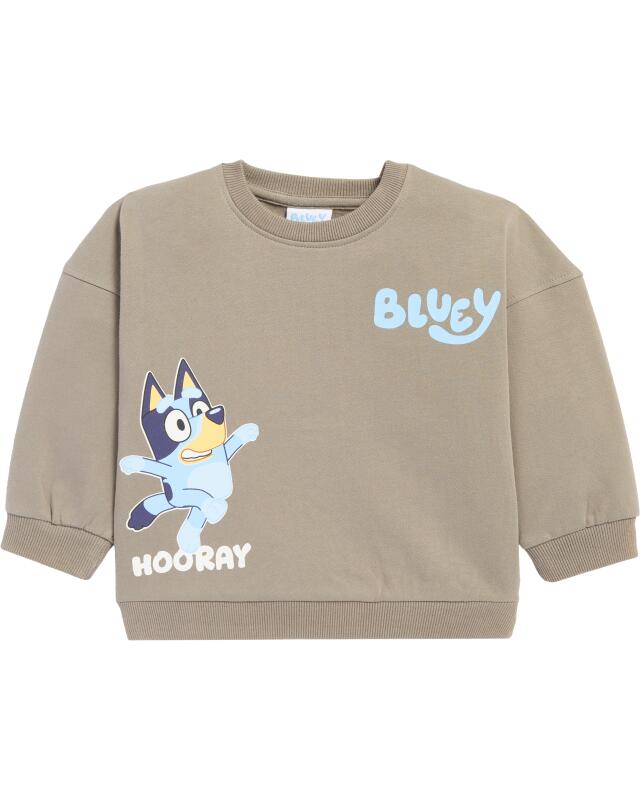 سويت شيرت بطبعة أمامية وخلفية للرضيعة، رمادي (KiK Sweatshirt mit Front- und Rückenprint (grau)) — KiK, منتج ألماني أصلي في المغرب