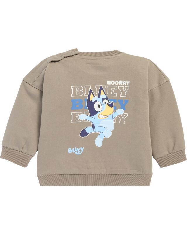 سويت شيرت بطبعة أمامية وخلفية للرضيعة، رمادي (KiK Sweatshirt mit Front- und Rückenprint (grau)) — KiK, منتج ألماني أصلي في المغرب