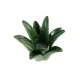 Svíčka na čajové svíčky Aloe Vera