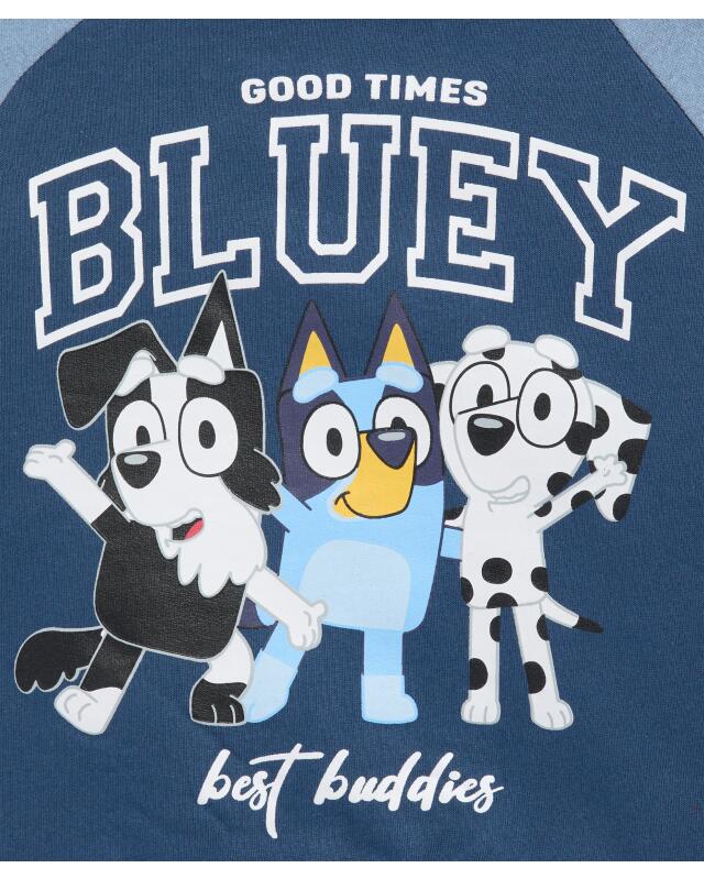 Veste sweat zippée à imprimé devant et dos garçon, bleu (KiK Sweatjacke mit Front- und Backprint (blau)) — KiK, produit allemand authentique au Maroc