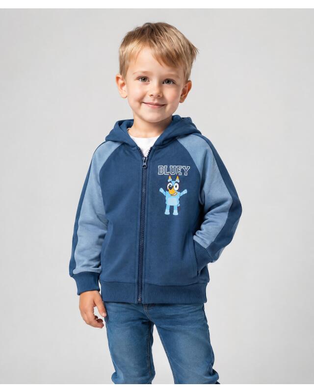 Veste sweat zippée à imprimé devant et dos garçon, bleu (KiK Sweatjacke mit Front- und Backprint (blau)) — KiK, produit allemand authentique au Maroc