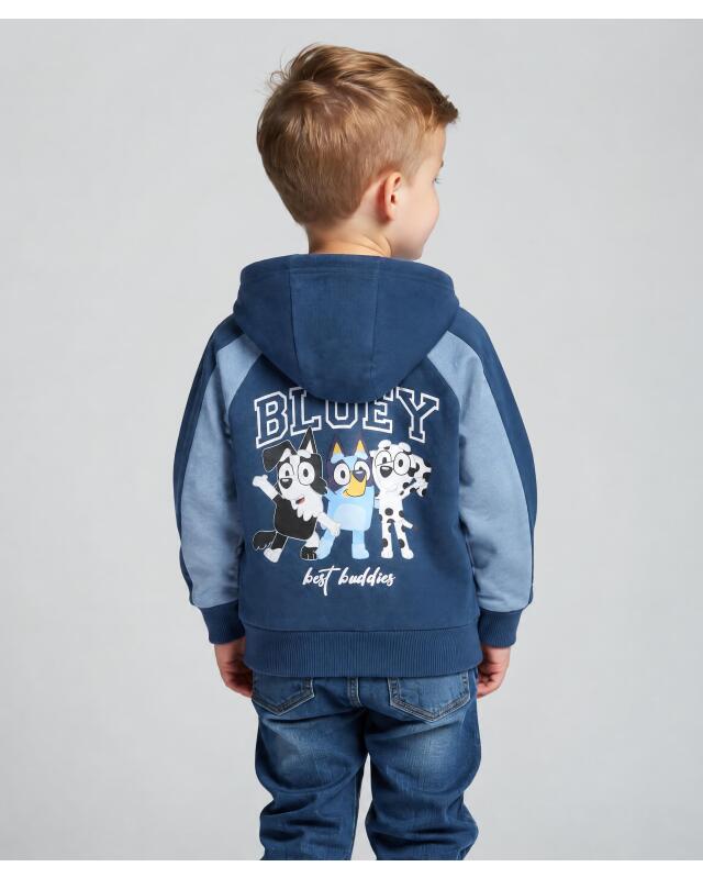 Veste sweat zippée à imprimé devant et dos garçon, bleu (KiK Sweatjacke mit Front- und Backprint (blau)) — KiK, produit allemand authentique au Maroc