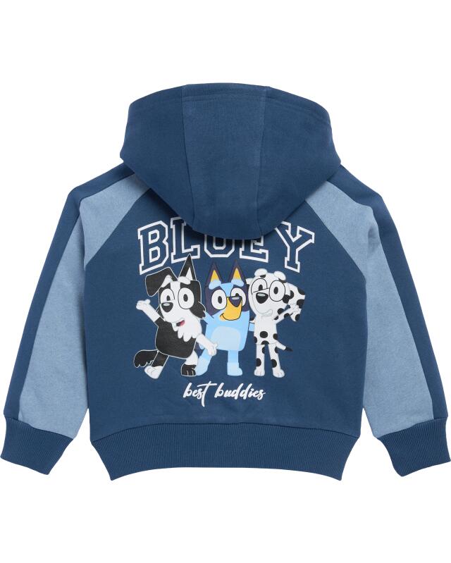 Veste sweat zippée à imprimé devant et dos garçon, bleu (KiK Sweatjacke mit Front- und Backprint (blau)) — KiK, produit allemand authentique au Maroc