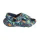 Clog-Slipper Dinos