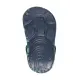 Clog-Slipper Dinos